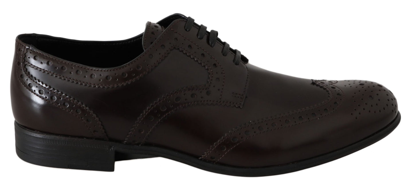 Dolce & Gabbana Elegant Brown Leather Oxford Flats - The Home of Luxury